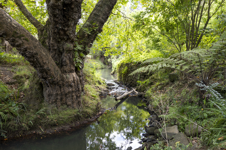 A local stream. 