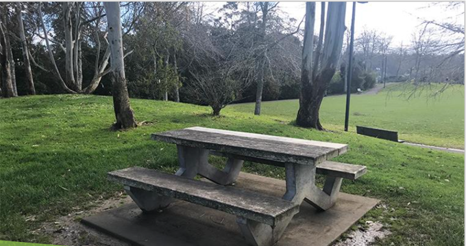 aori names and stories to be returned in Kaipatiki