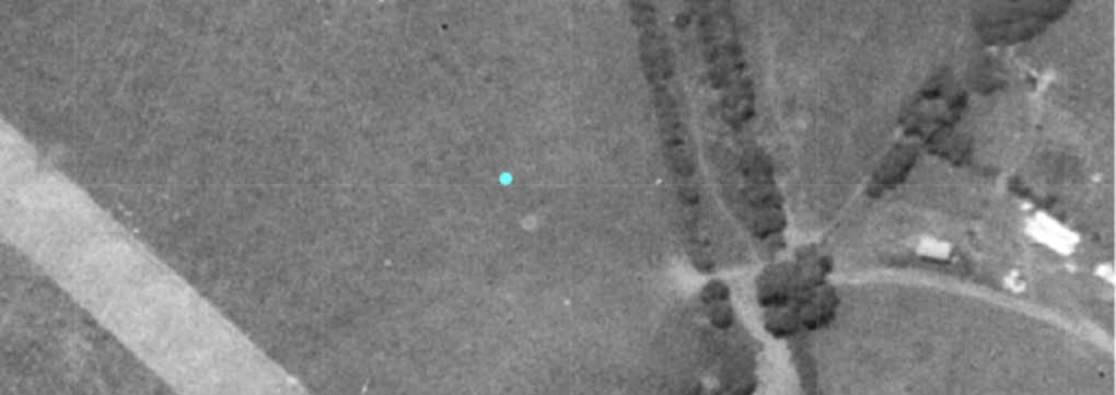 Image (3)
