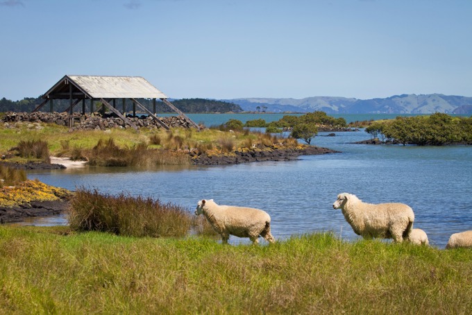 Auckland parks have done it again! (3)