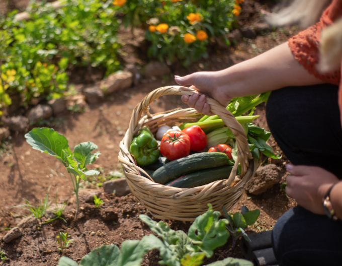 LFHW Event Images (4)_n4nxyjyv.png