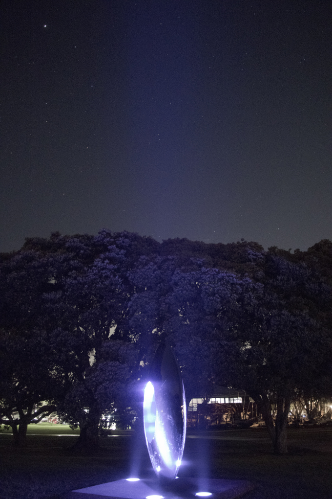 Milford Reserve’s new work of light (1)