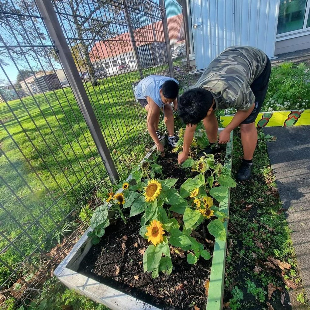 Young Gardeners Of Tupu