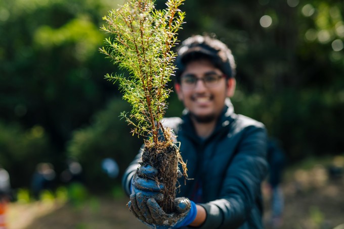 New international partnership to see more than 30,000 trees planted in Auckland 1