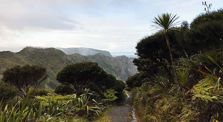 Mercer Bay Path