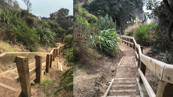 Island Bay Track (1)