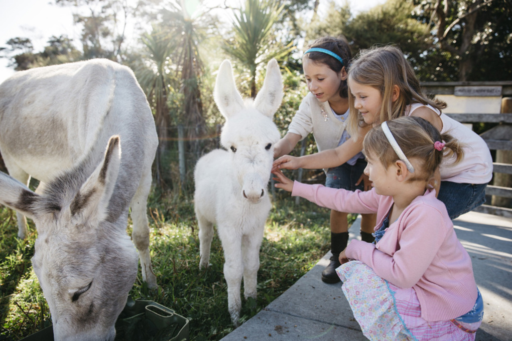Highland Garden Reserve animals