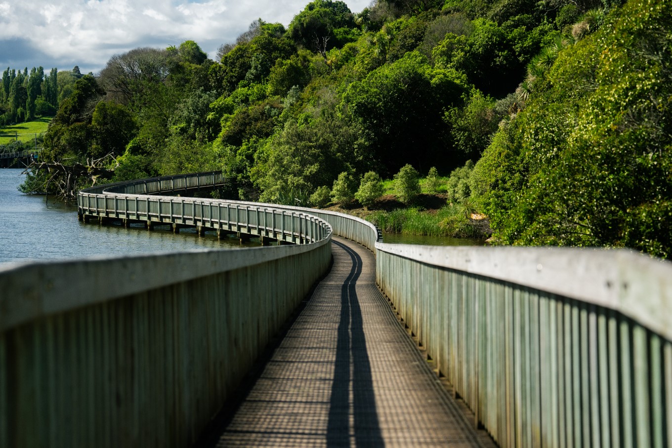 Ōrakei Basin pathway.