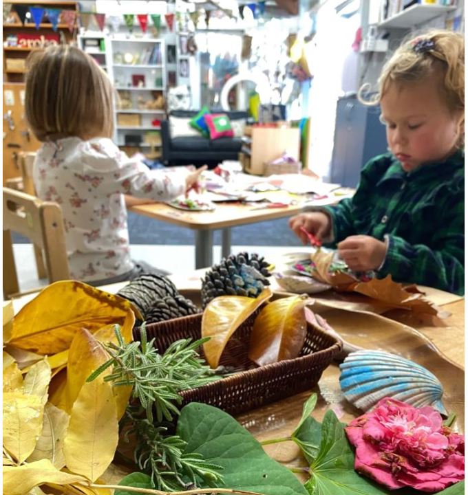 Hibiscus and Bays Local Board makes tough call on Kauri Kids