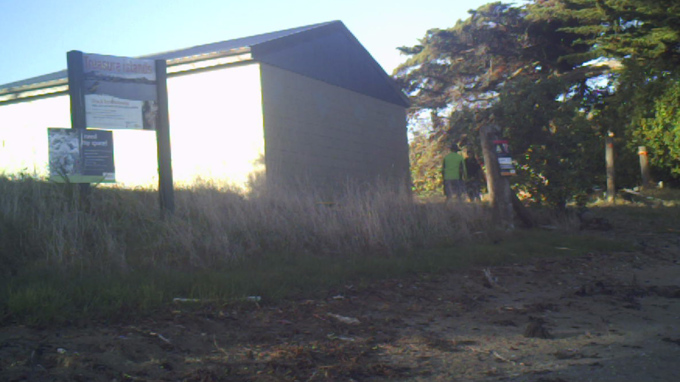 Hunt for elusive intruder uncovers surprising activity on pest free island