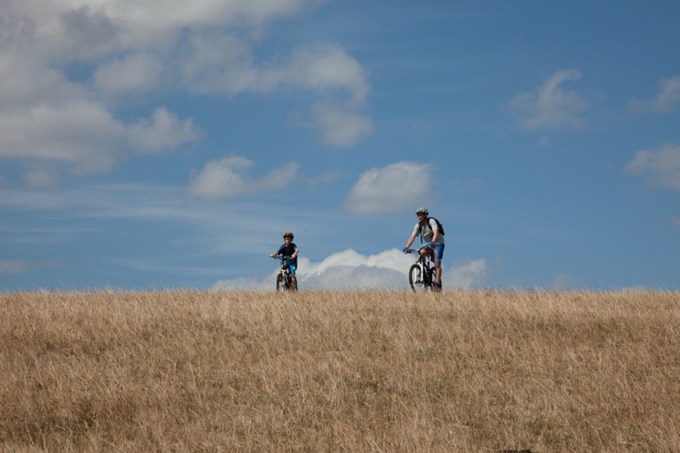 Ten top things to do in south Auckland this spring (5)