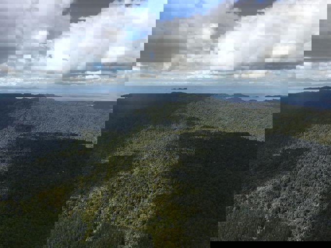 Hunua pest numbers at record low