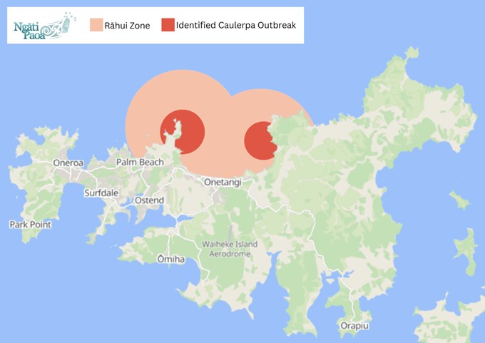Rahui Zone Caulerpa Outbreak 280823 OA
