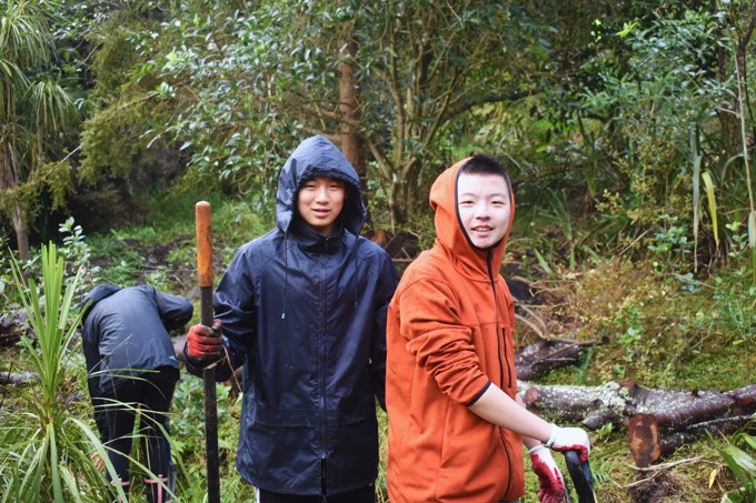 Get planting in Upper Harbour