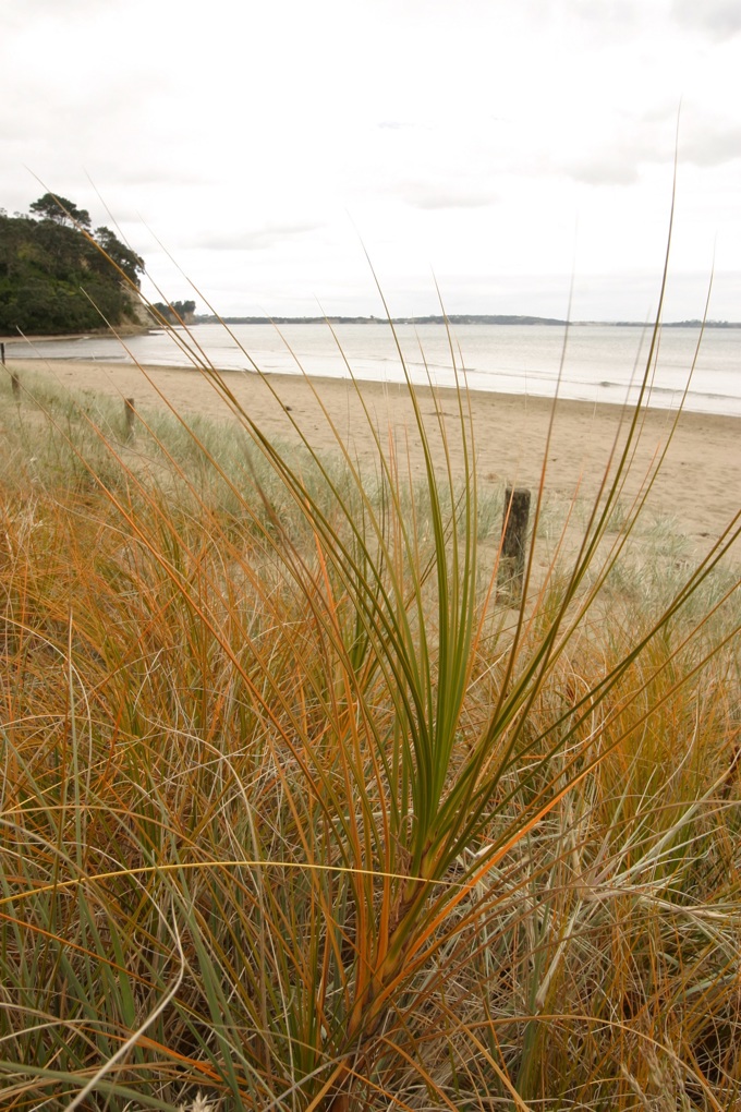 10 Years Together - environment 4