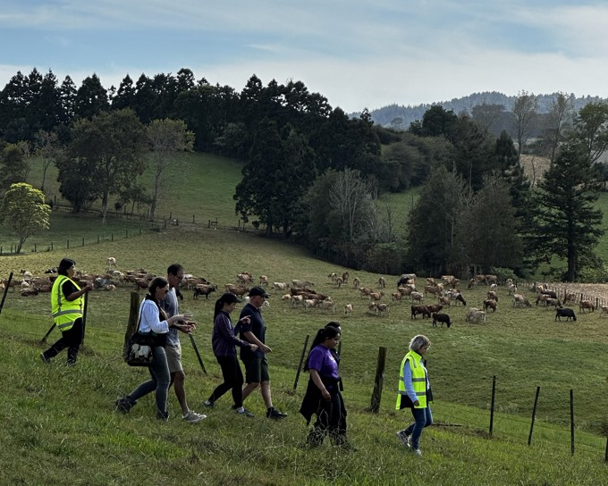 Donalds Farm CVNZ Nursery Opening Tour 3