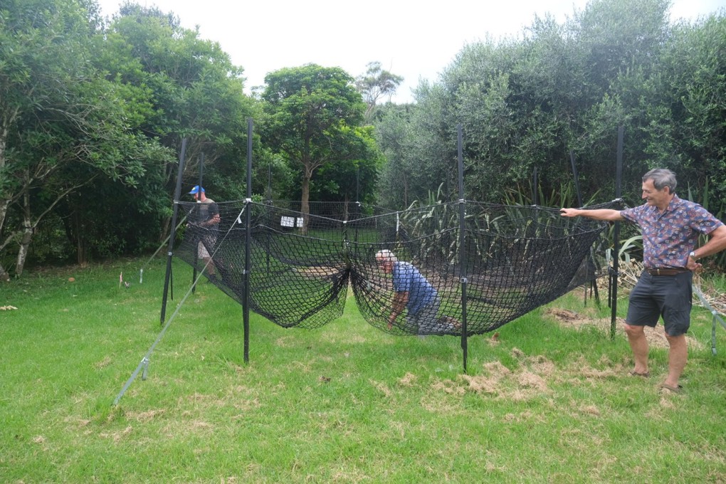 Pig Brig 1