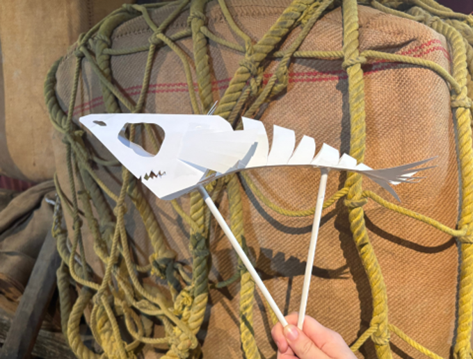 Our Auckland Swimming Skeleton_ebimzeu1.png