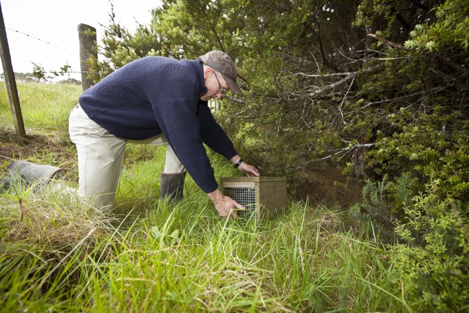 How to become a pest-trapping hero