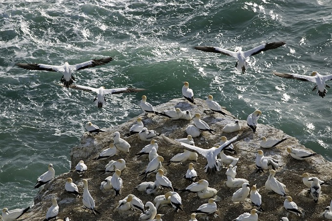 Have your say on how we manage Auckland's regional parks