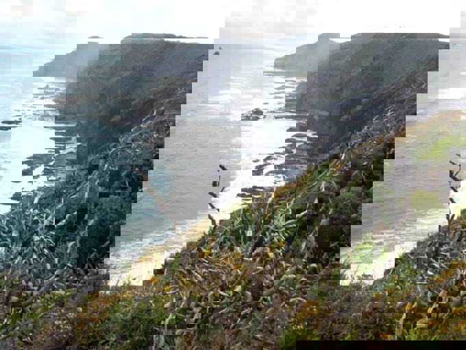 Hillary Trail scenery (30)