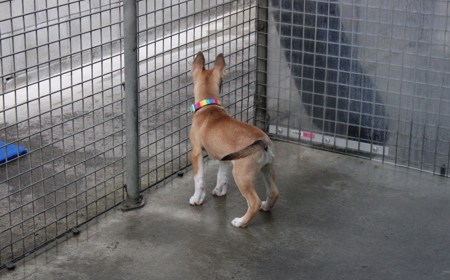 Te Waihou tile image