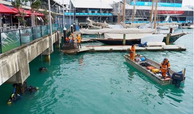 A living connection between land and sea (1)