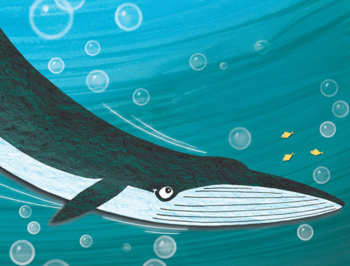 Our Auckland Tales of Tīkapa Moana_sqkixvcd.png