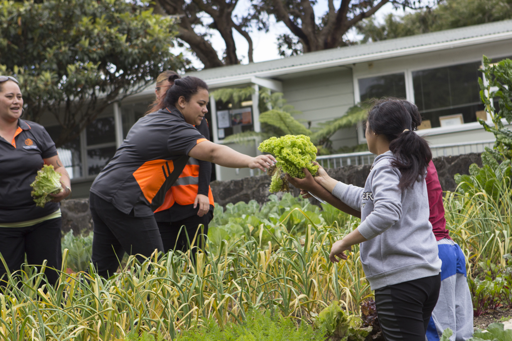 Mangere 2