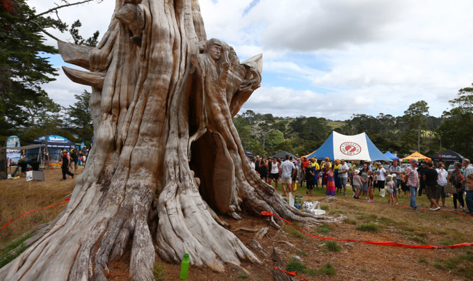 Spotlight on Upper Harbour