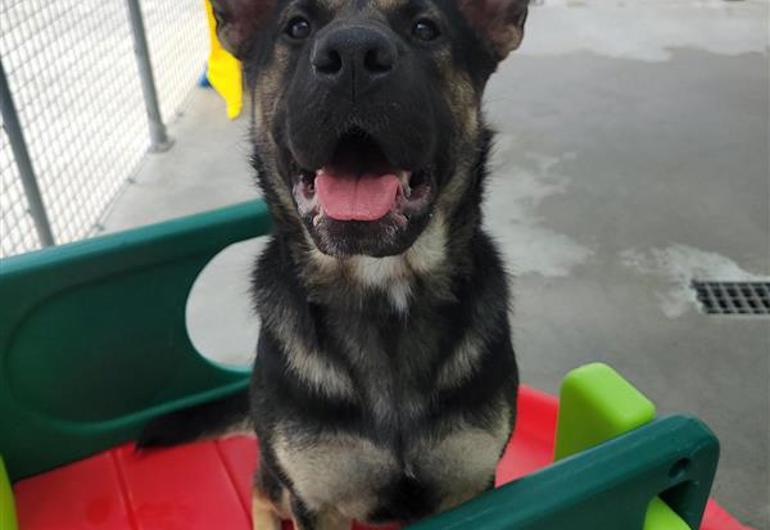 7706Ea89 9D06 4708 Be14 2F5c6a231bc5