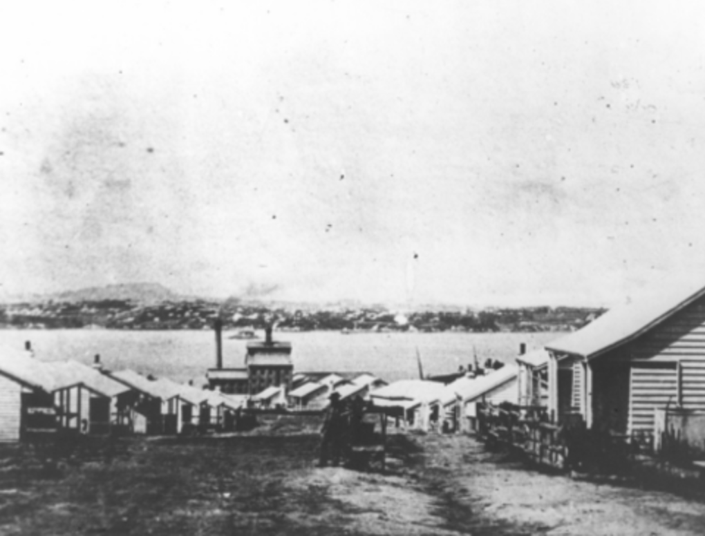 Response 84 The Auckland Original Sugar Workers Walk