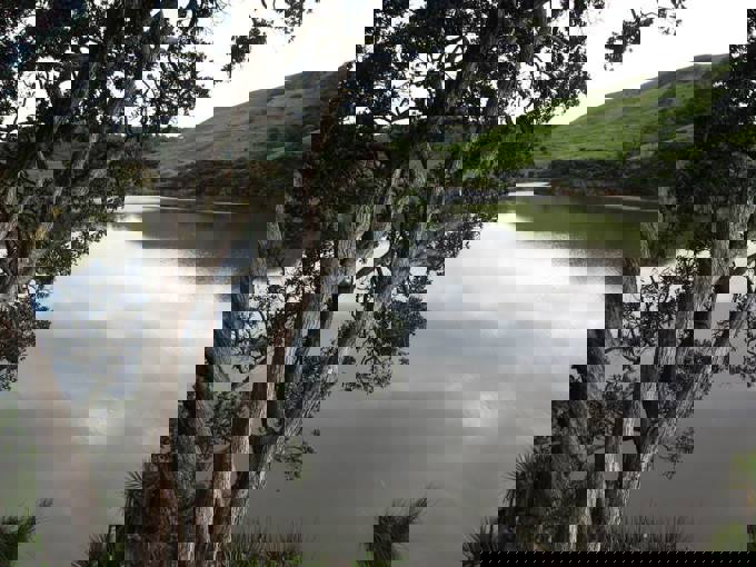 Hillary Trail scenery (24)