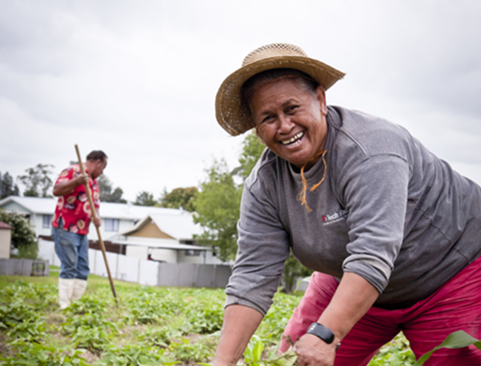 Tongan community nurtures Papakura garden