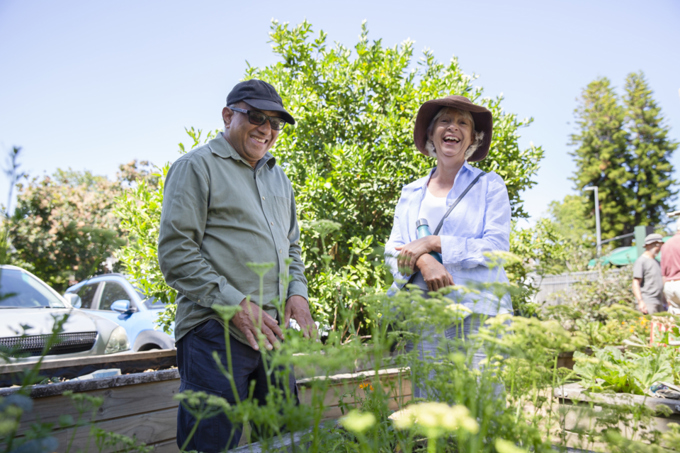 Growing interest in community gardens of Albert-Eden