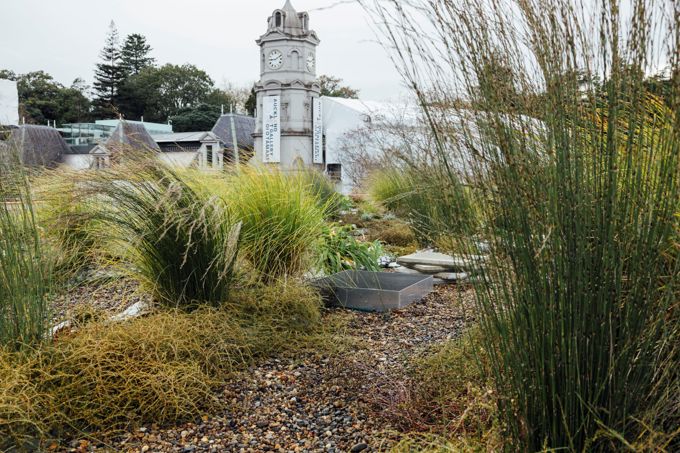 Central Library Living Roof Garden image 38-454619_nqokzk3a.jpg