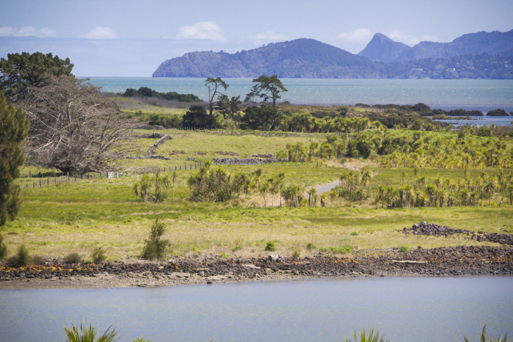 Ten top things to do in south Auckland this spring (6)