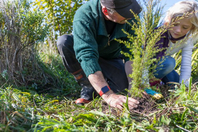 Albert-Eden Volunteers Recongnition Awards