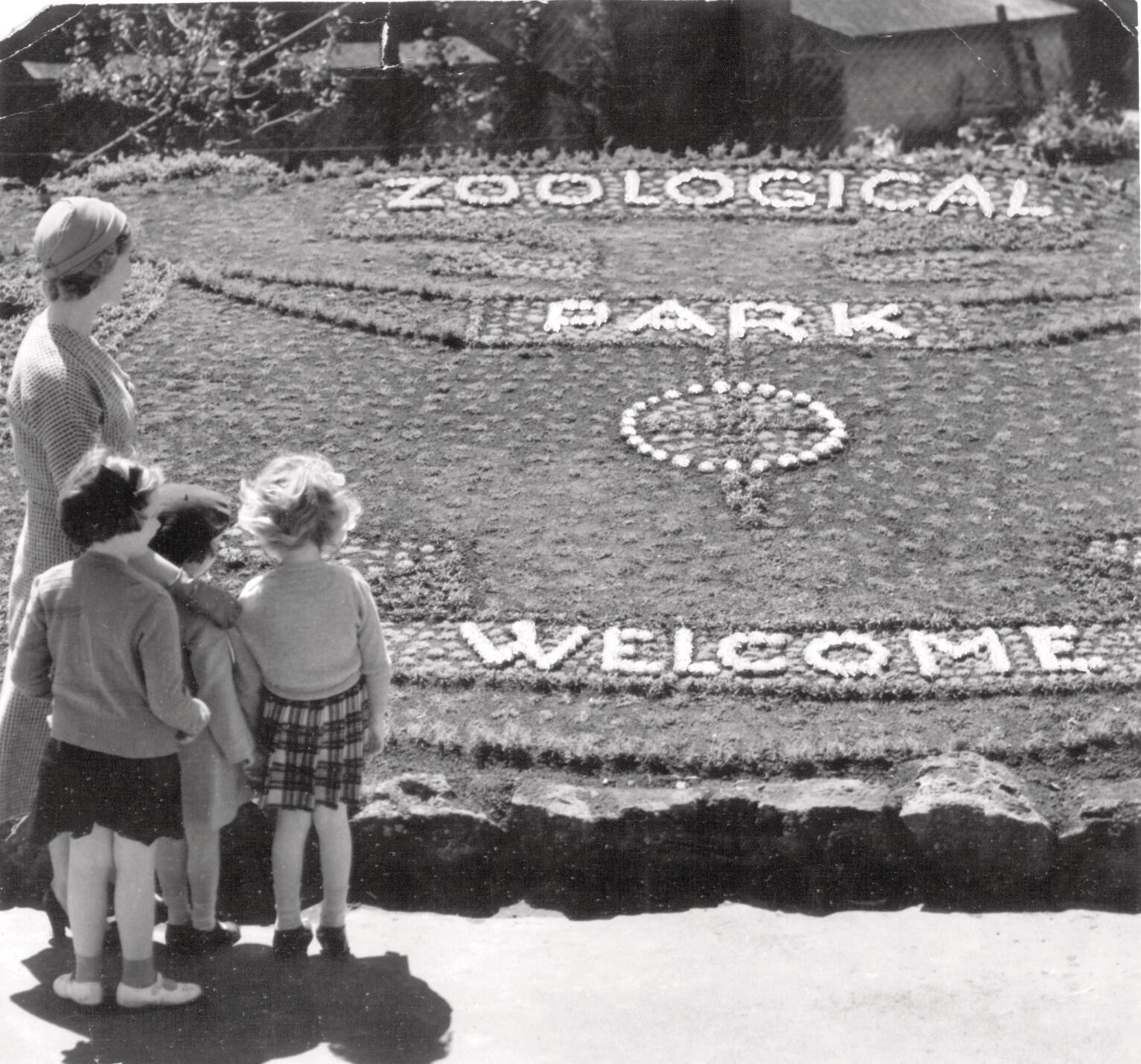 A floral sign welcomes visitors to the Zoo in the 1950s