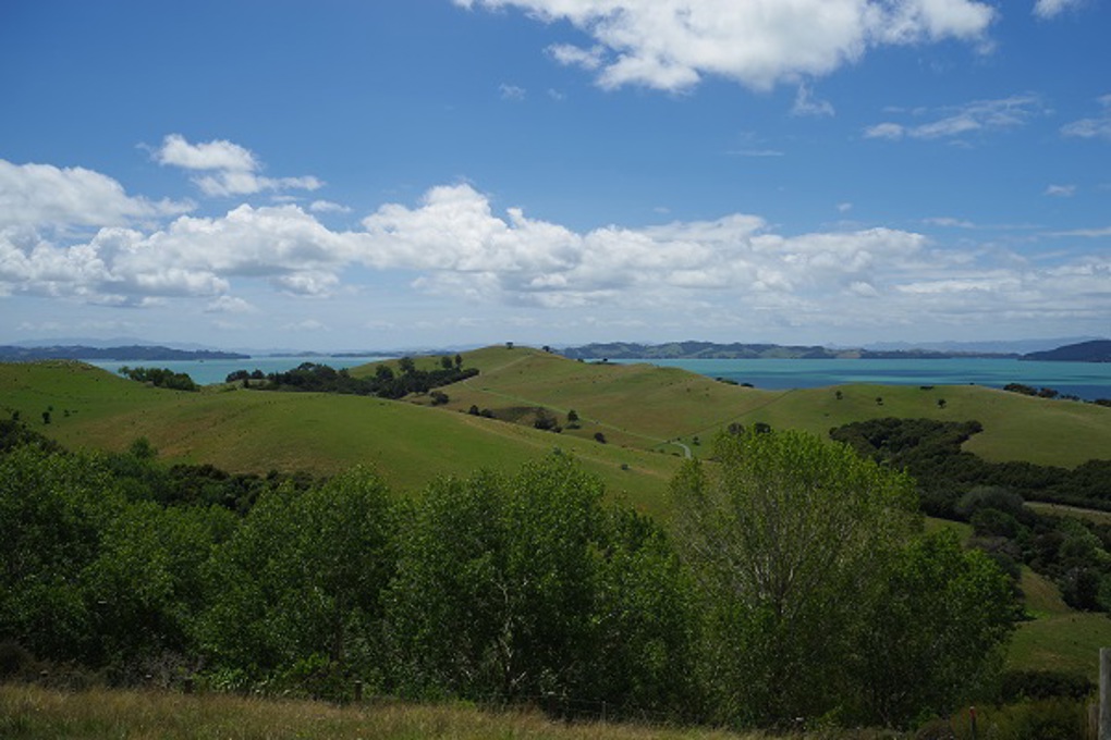 Explore Duder Regional Park