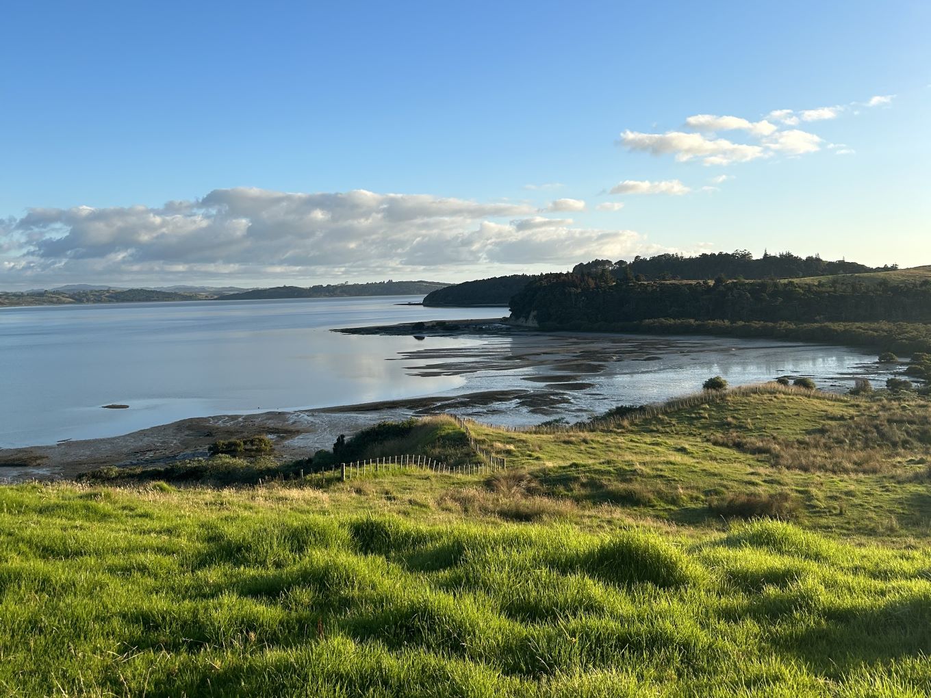 Ātiu Creek vista.