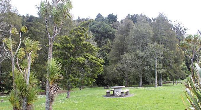 Clevedon Scenic Reserve Picnic