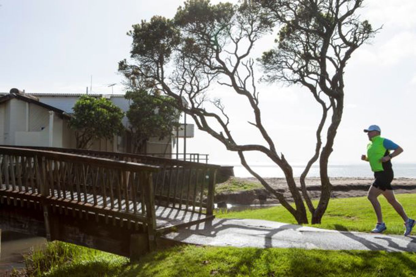 Next steps for Mairangi Bay Beach Reserves OurAuckland