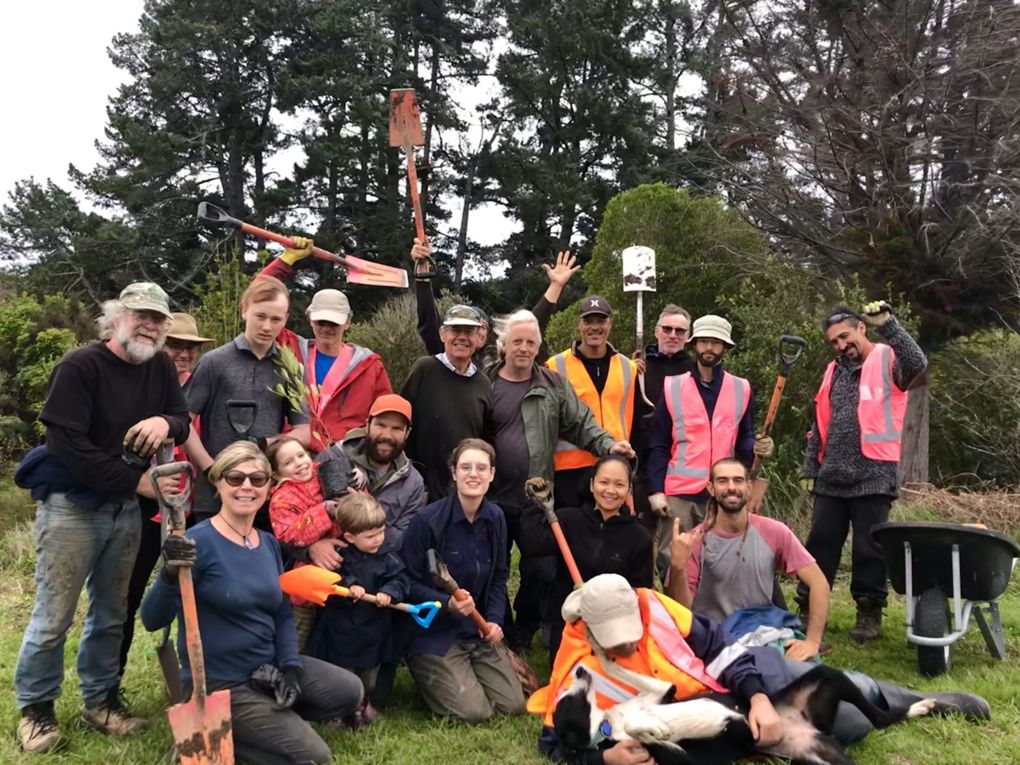 Love our Wetlands Waiheke project a finalist in Local Government EXCELLENCE Awards