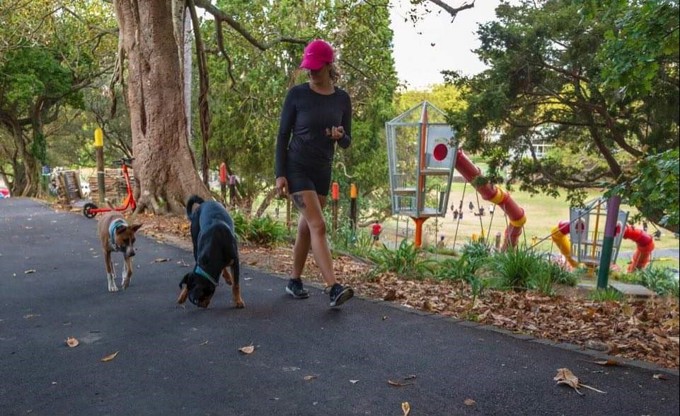 Local board members get behind Parks Week