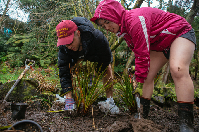 A plethora of ways to maintain your well-being with parks 8