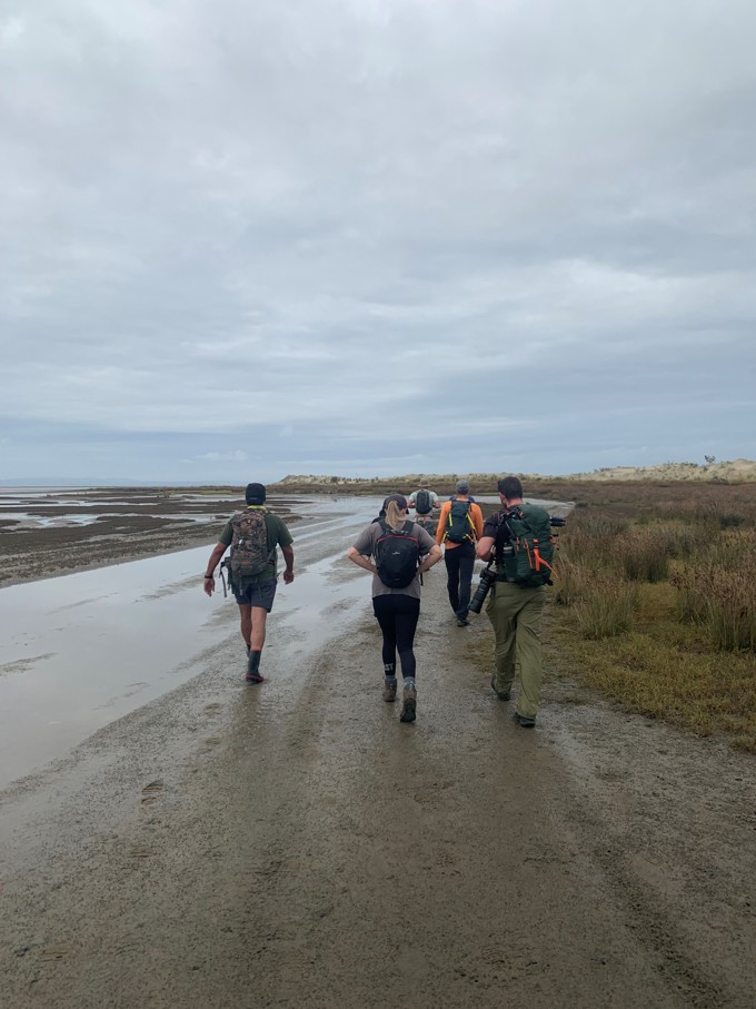 Reptile surveillance 4