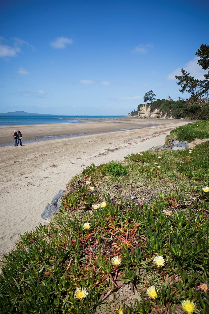 Browns Bay beach remains a risk