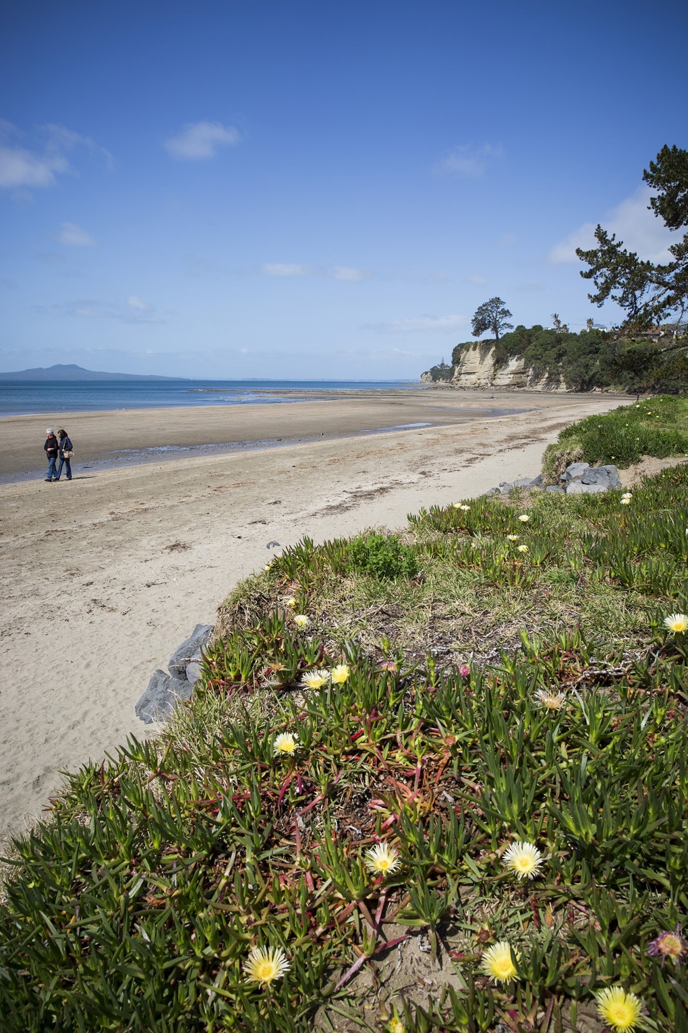 Browns Bay beach swimmable again OurAuckland