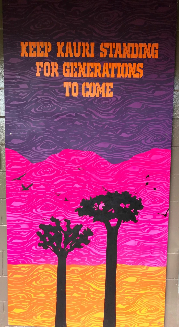 Kauri murals 2